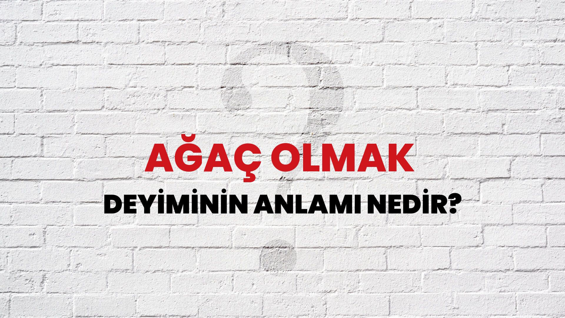 Ağaç Olmak Deyiminin Anlamı Nedir?