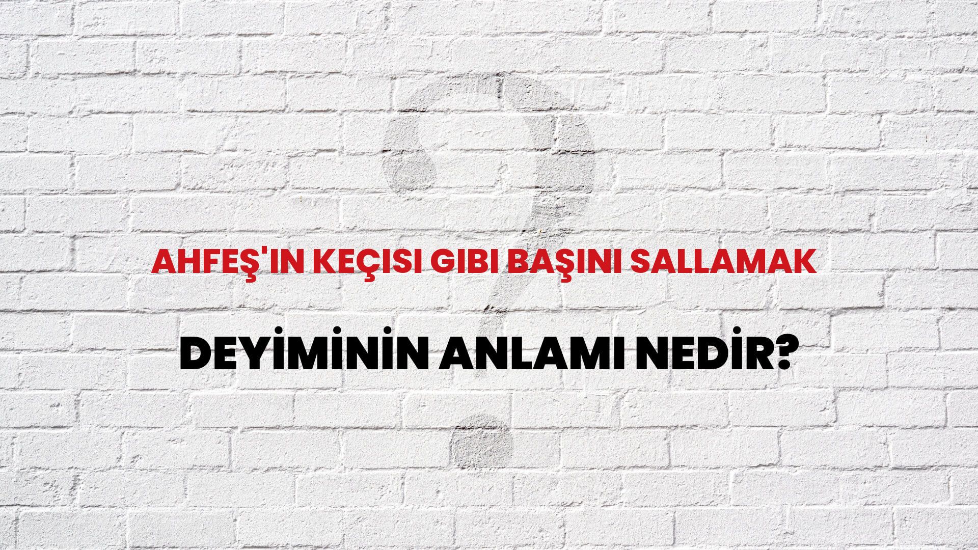 Ahfeş'in Keçisi Gibi Başını Sallamak Deyiminin Anlamı Nedir?