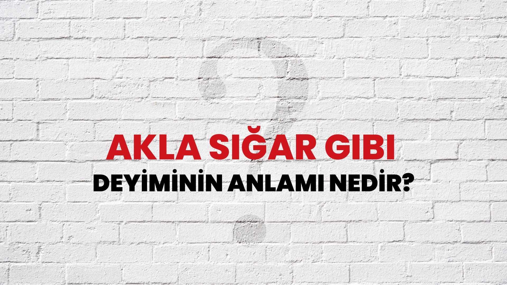 Akla Sığar Gibi Deyiminin Anlamı Nedir?