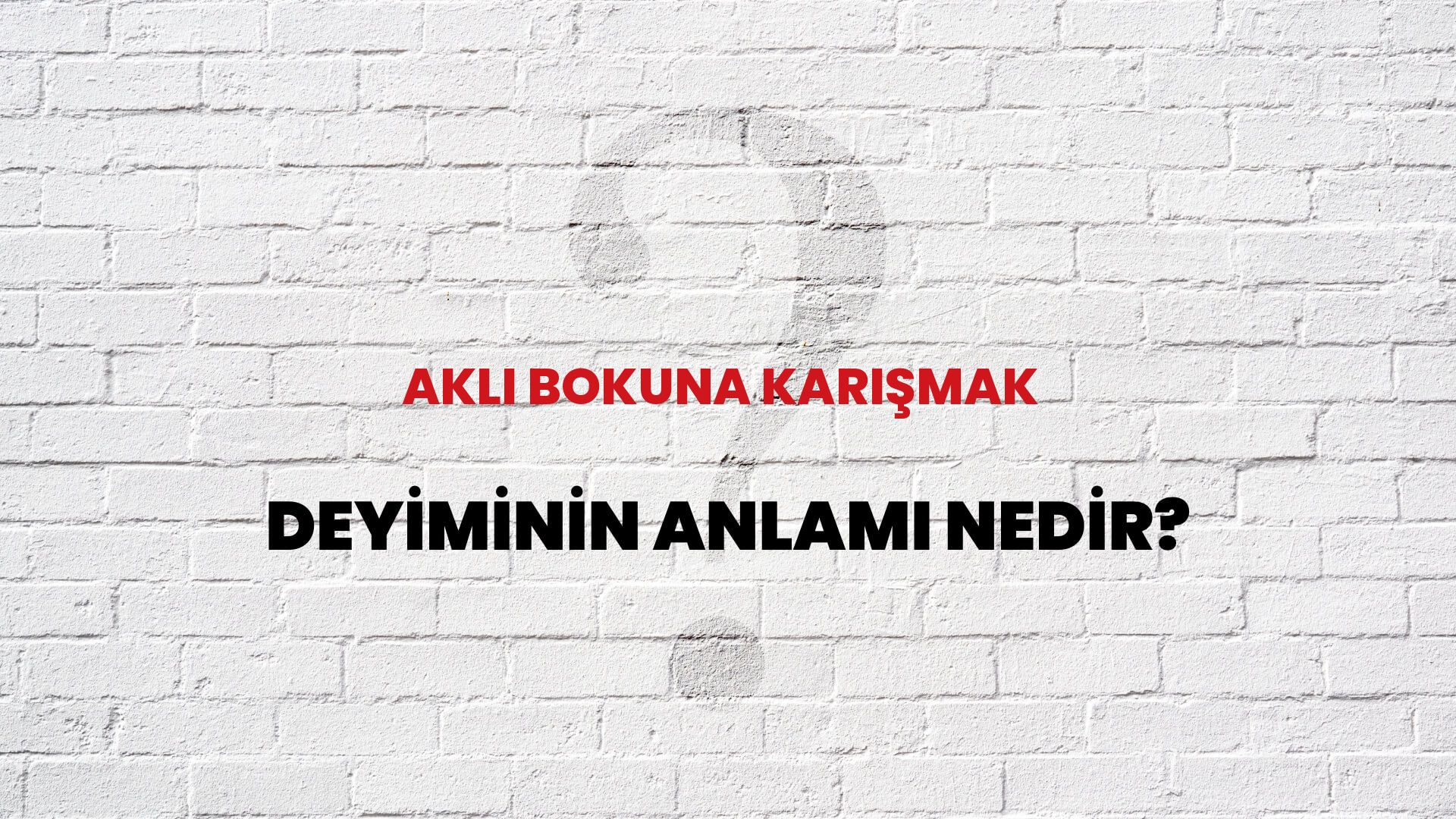 Aklı bokuna karışmak Deyiminin Anlamı Nedir? Habertürk