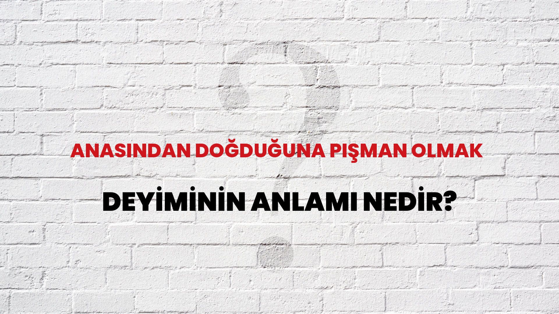 Anasından Doğduğuna Pişman Olmak Deyiminin Anlamı Nedir?