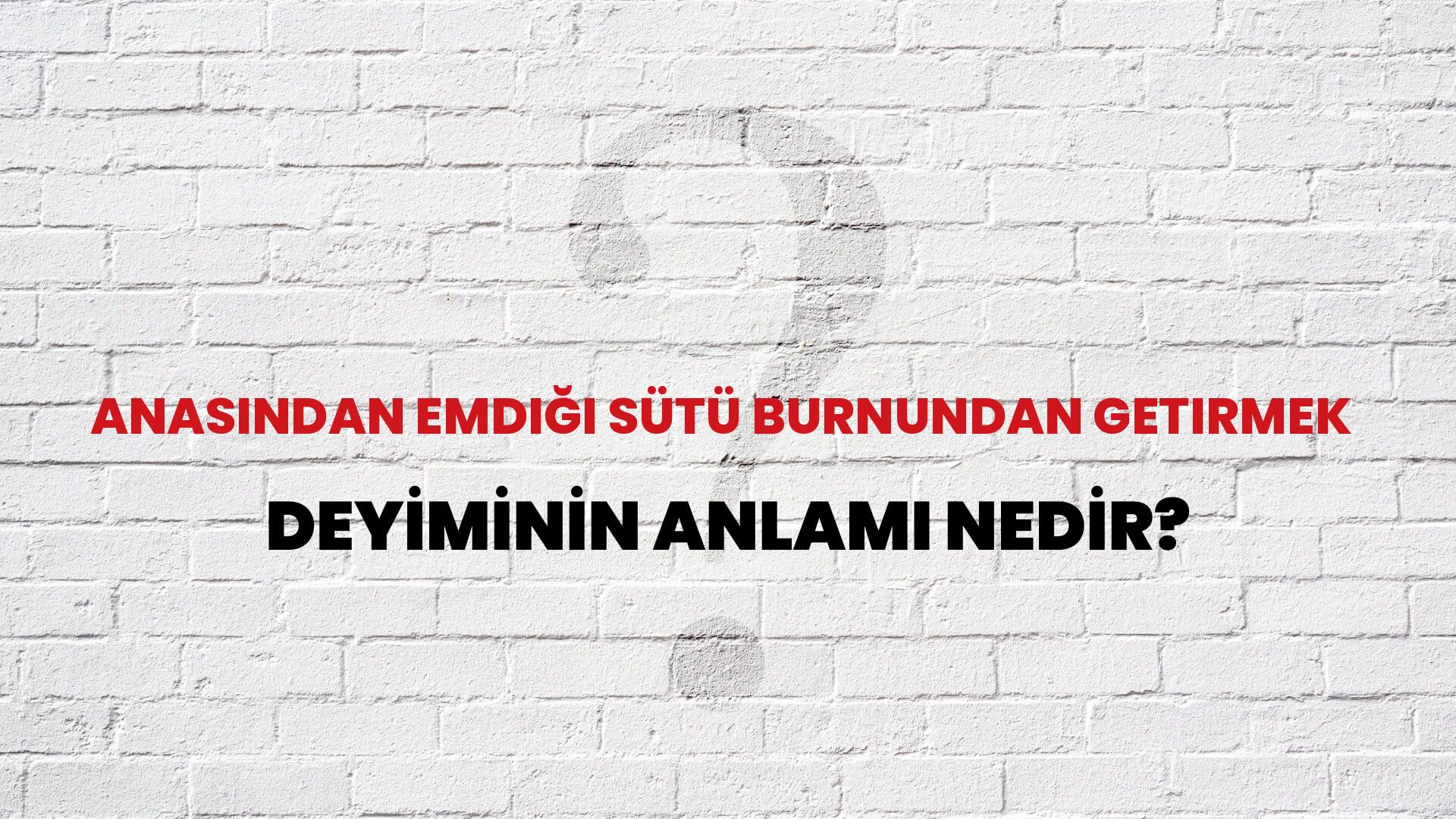 Anasından Emdiği Sütü Burnundan Getirmek Deyiminin Anlamı Nedir?