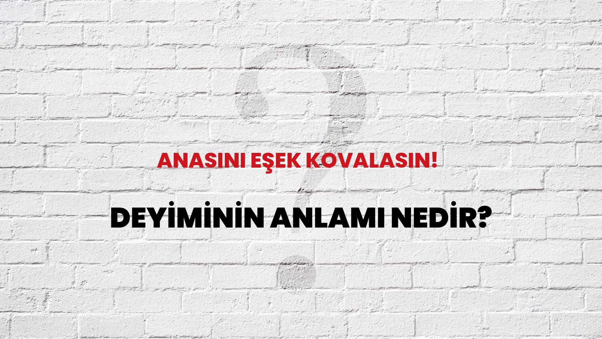 Anasını Eşek Kovalasın! Deyiminin Anlamı Nedir?