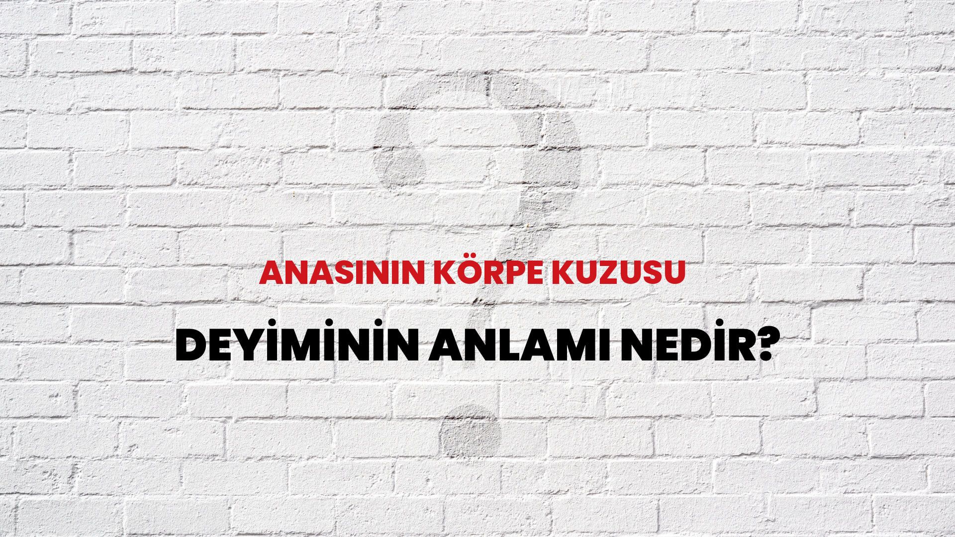 Anasının Körpe Kuzusu Deyiminin Anlamı Nedir?