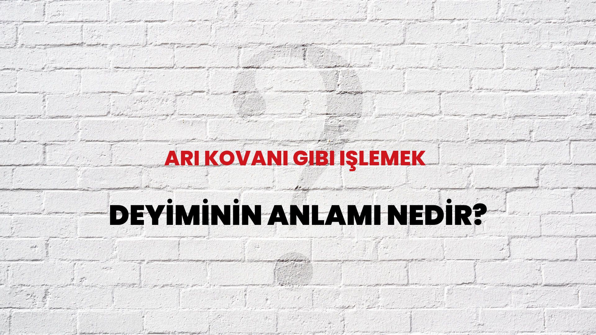 Arı Kovanı Gibi Işlemek Deyiminin Anlamı Nedir?