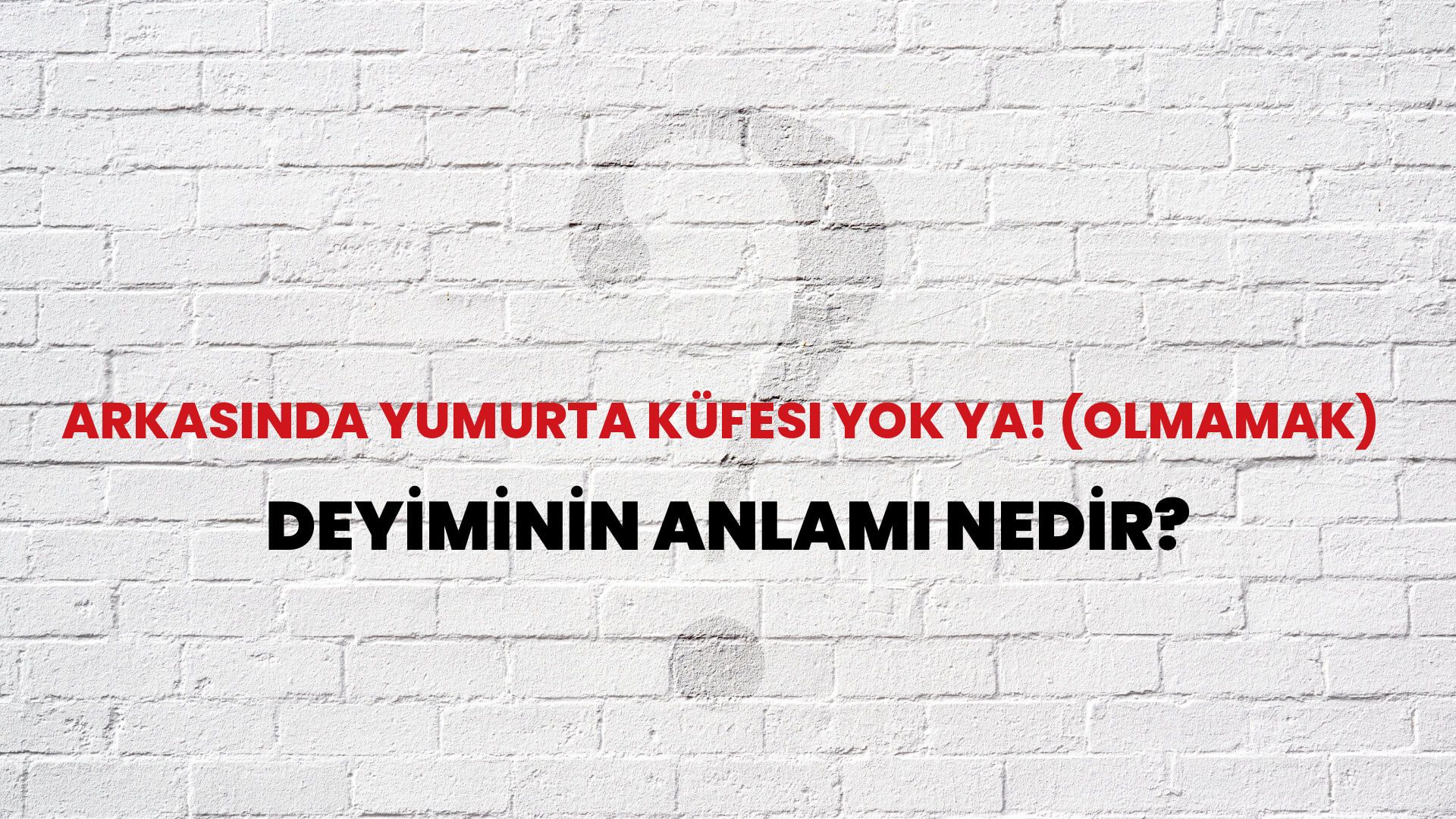 Arkasında Yumurta Küfesi Yok Ya! (Olmamak) Deyiminin Anlamı Nedir?