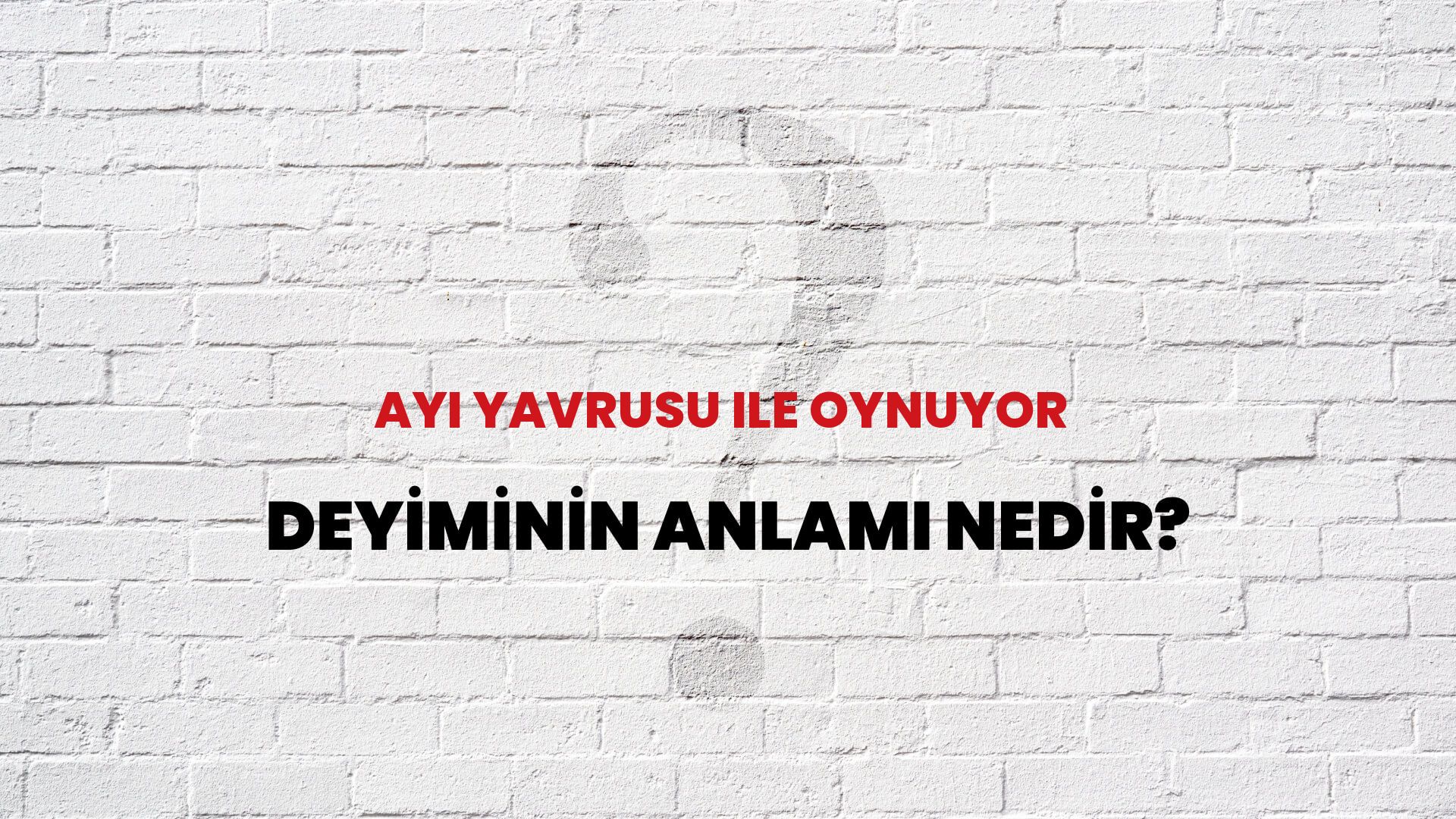 Ayı Yavrusu Ile Oynuyor Deyiminin Anlamı Nedir?