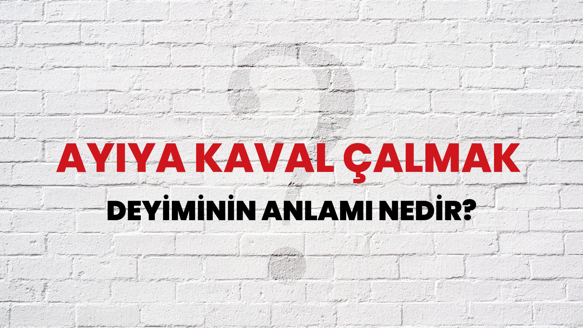 Ayıya Kaval Çalmak Deyiminin Anlamı Nedir?