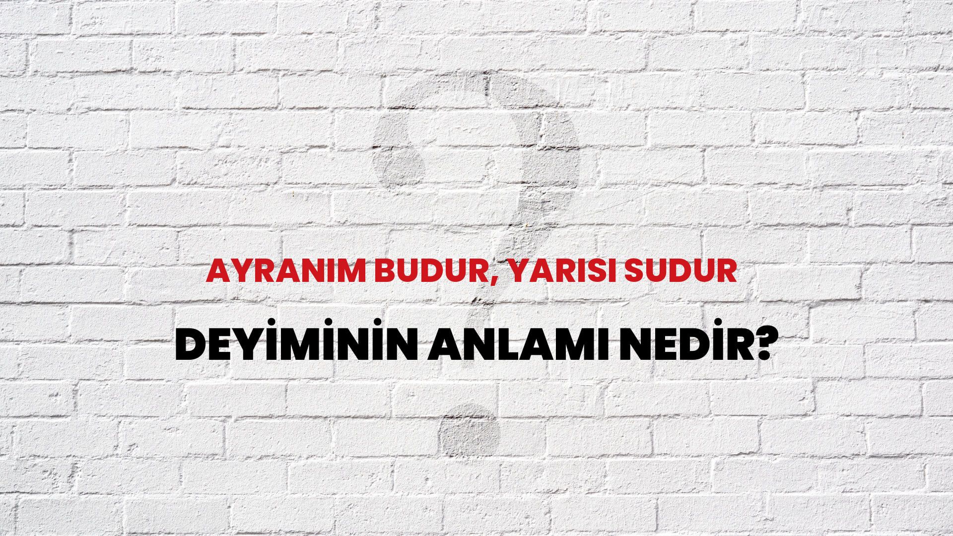 Ayranım Budur, Yarısı Sudur Deyiminin Anlamı Nedir?