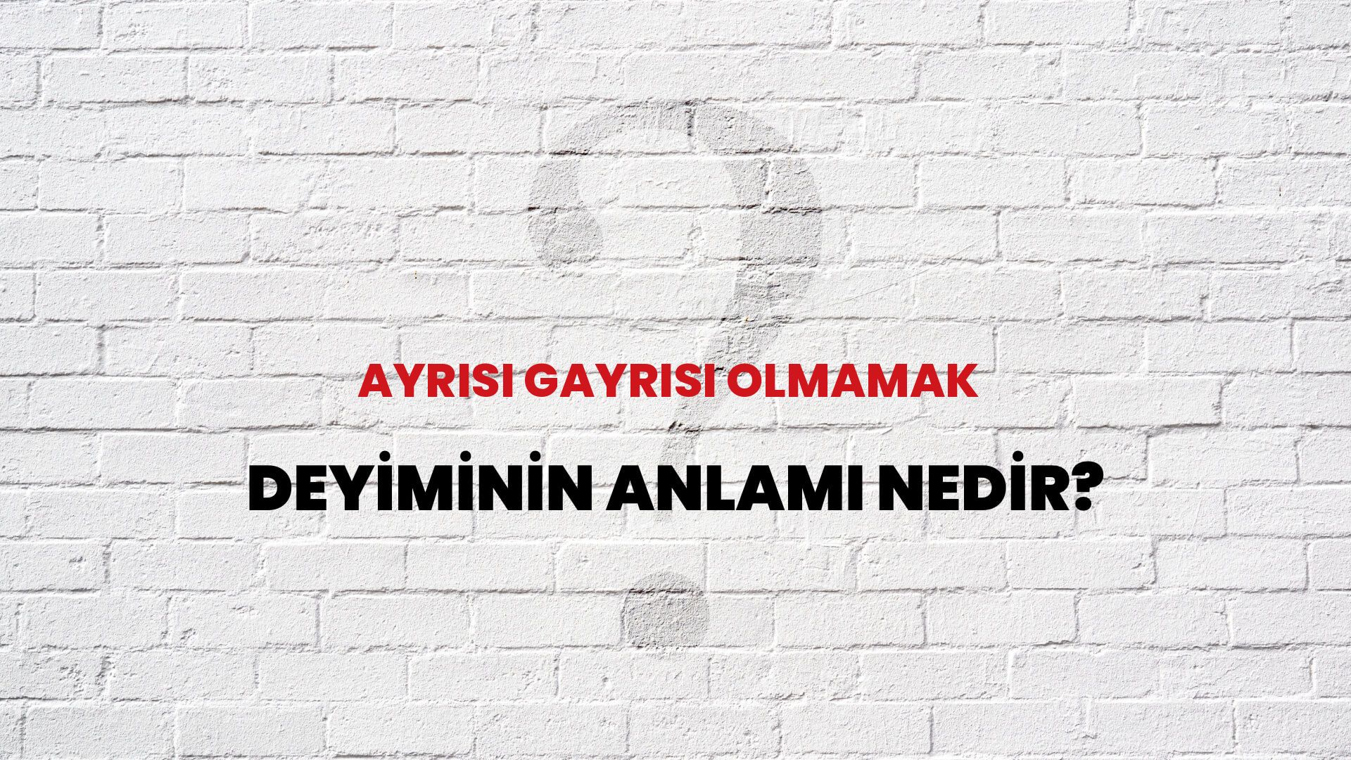 Ayrısı Gayrısı Olmamak Deyiminin Anlamı Nedir?