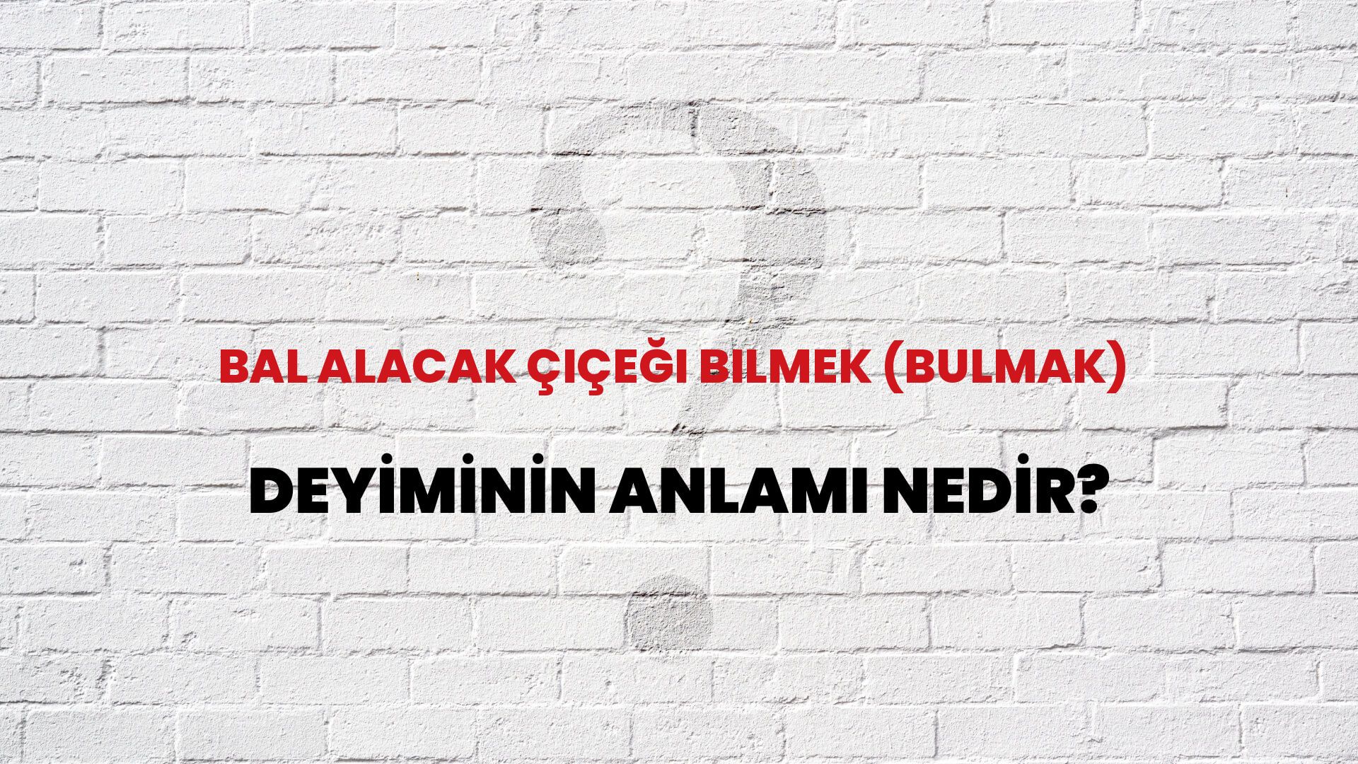 Bal Alacak Çiçeği Bilmek (Bulmak) Deyiminin Anlamı Nedir?