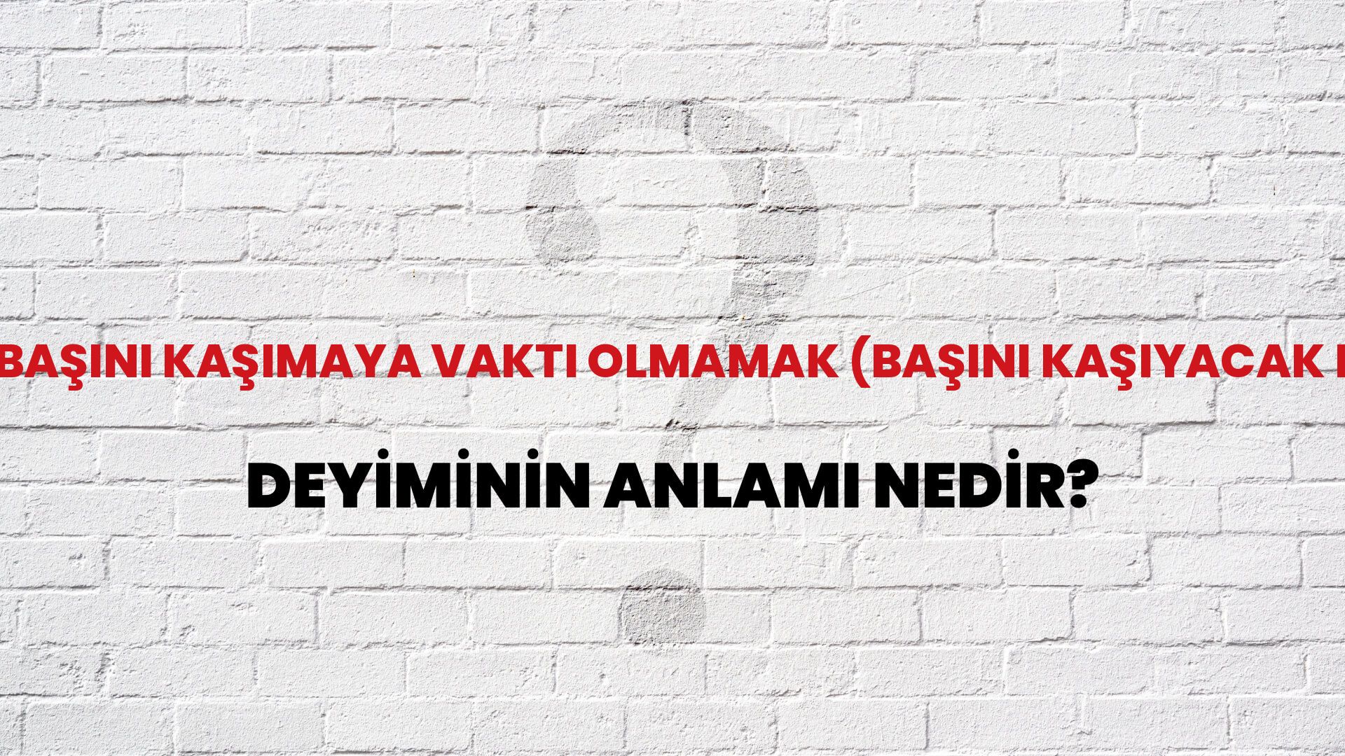 Başını Kaşımaya Vakti Olmamak (Başını Kaşıyacak Durumda Olma Deyiminin Anlamı Nedir?