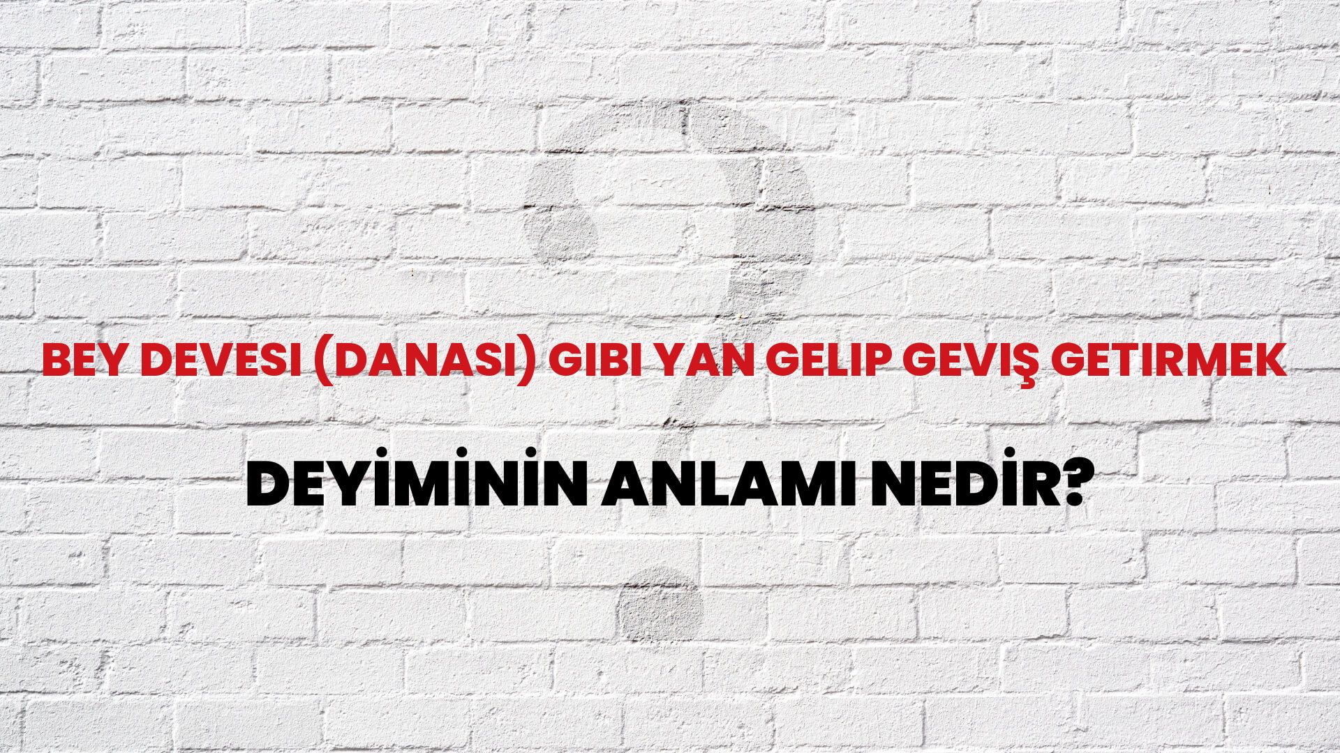Bey Devesi (Danası) Gibi Yan Gelip Geviş Getirmek Deyiminin Anlamı Nedir?