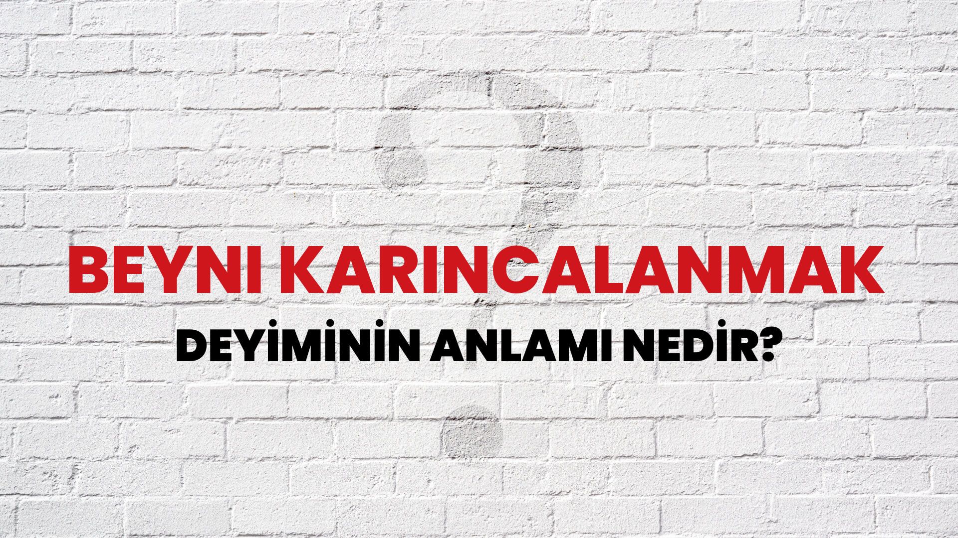 Beyni Karıncalanmak Deyiminin Anlamı Nedir?