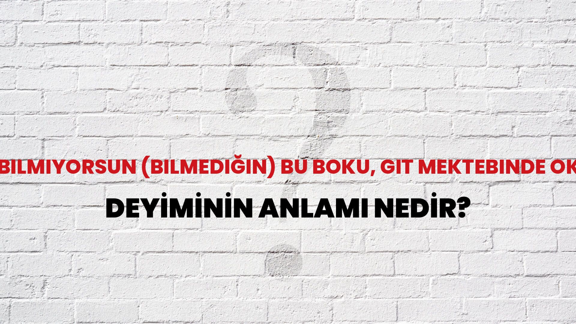 Bilmiyorsun (Bilmediğin) Bu Boku, Git Mektebinde Oku Deyiminin Anlamı Nedir?