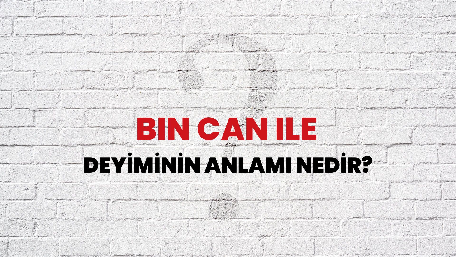 Bin Can Ile Deyiminin Anlamı Nedir?