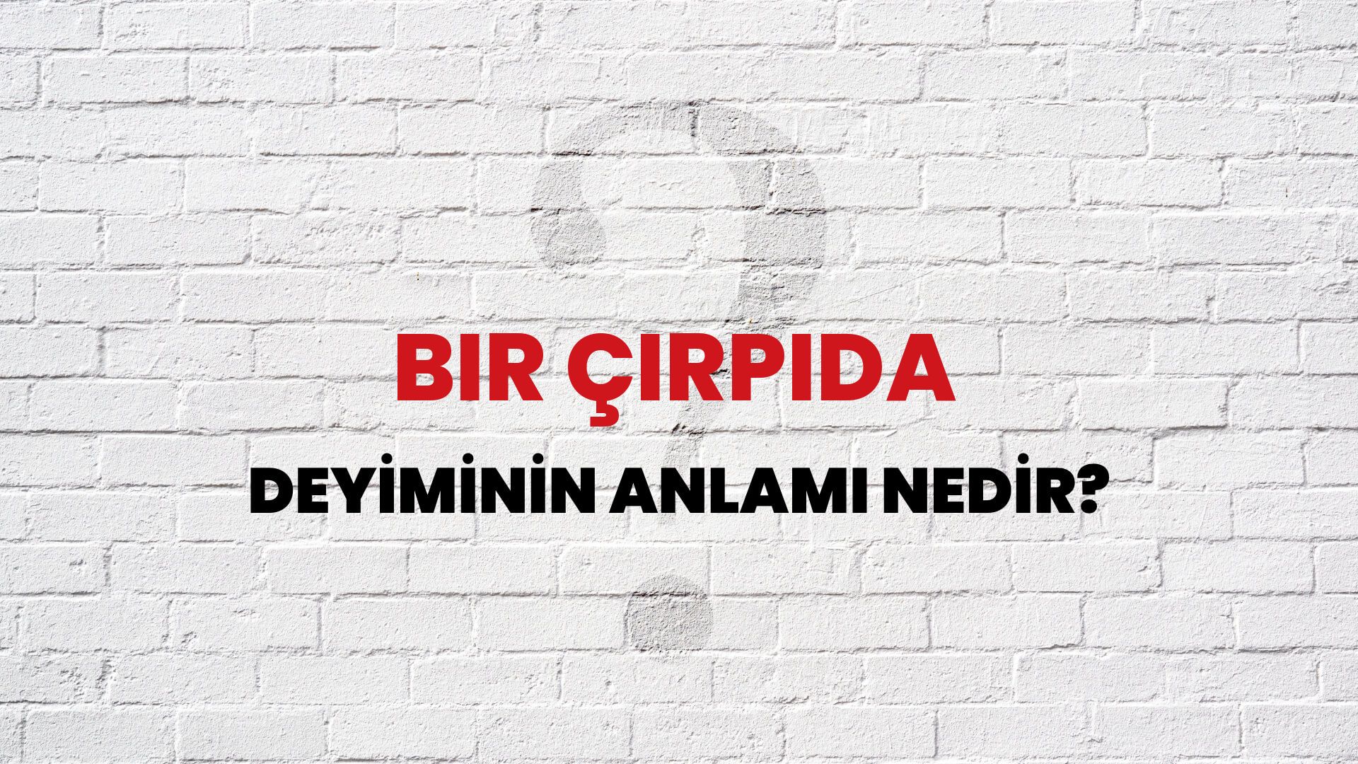 Bir Çırpıda Deyiminin Anlamı Nedir?