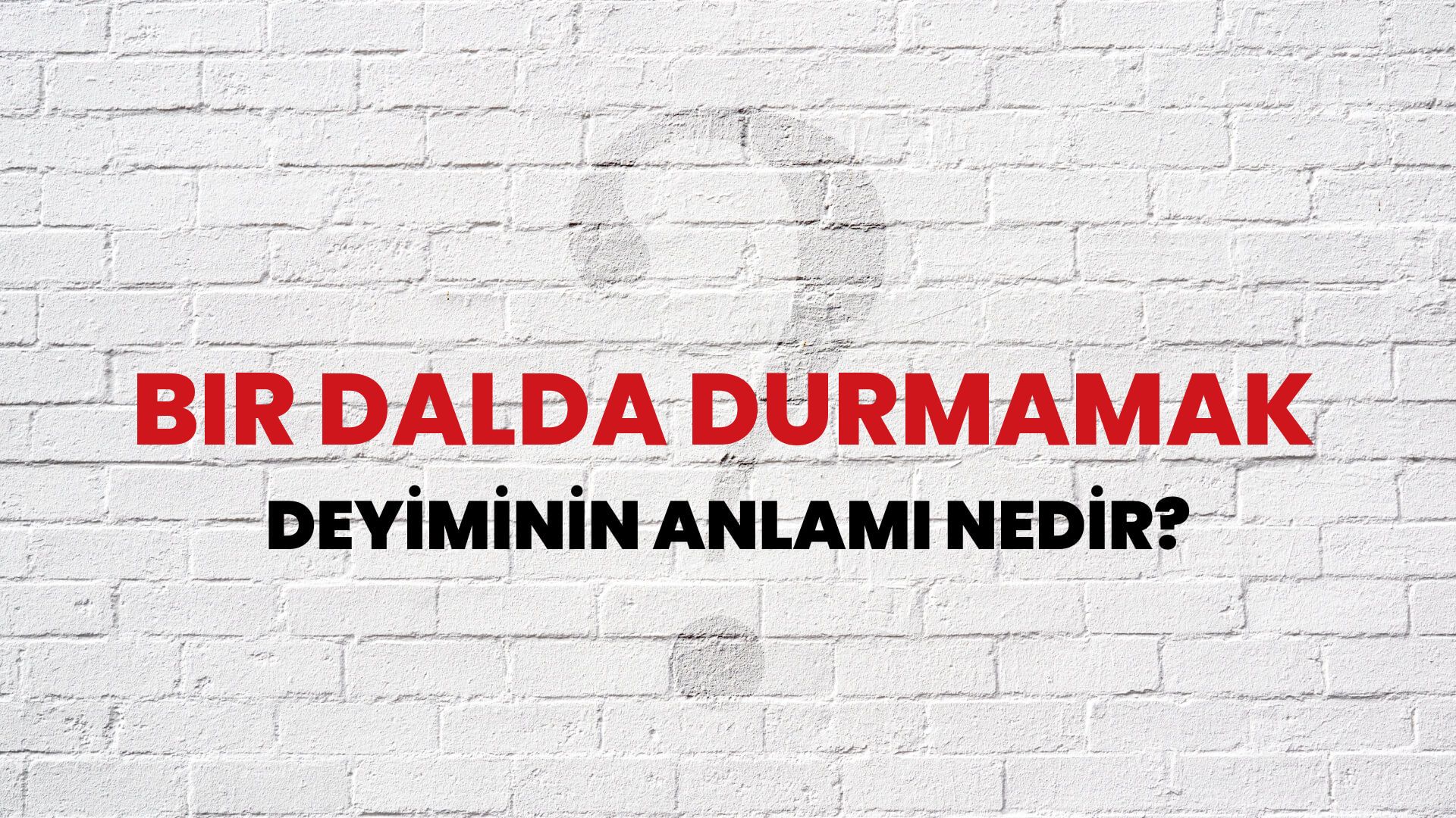 Bir Dalda Durmamak Deyiminin Anlamı Nedir?