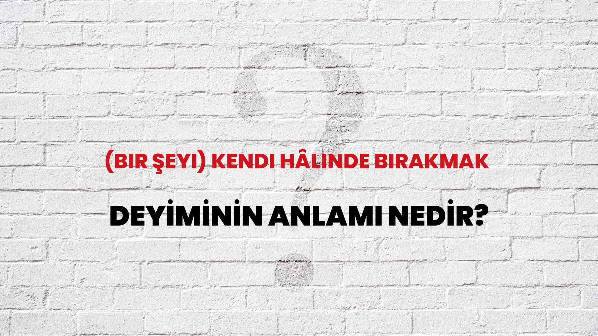 (Bir Şeyi) Kendi Hâlinde Bırakmak Deyiminin Anlamı Nedir?