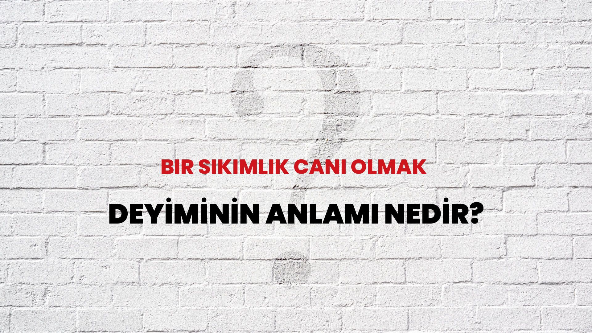 Bir Sıkımlık Canı Olmak Deyiminin Anlamı Nedir?