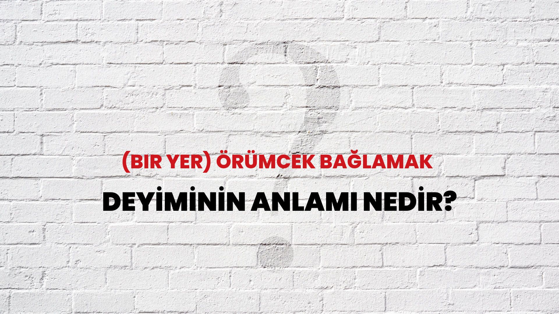 (Bir Yer) Örümcek Bağlamak Deyiminin Anlamı Nedir?