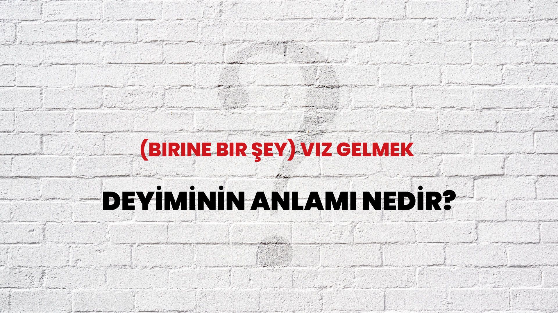 (Birine Bir Şey) Vız Gelmek Deyiminin Anlamı Nedir?