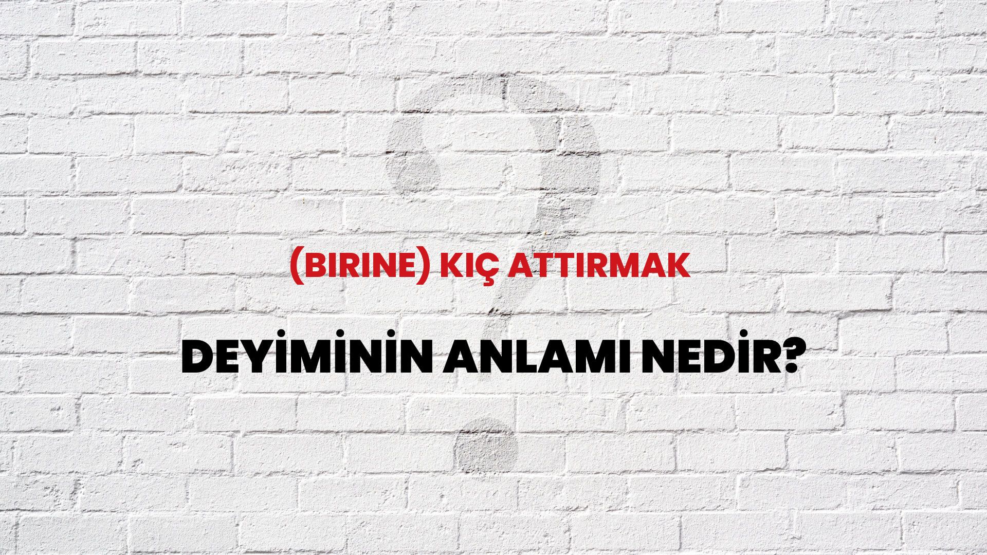 (Birine) Kıç Attırmak Deyiminin Anlamı Nedir?