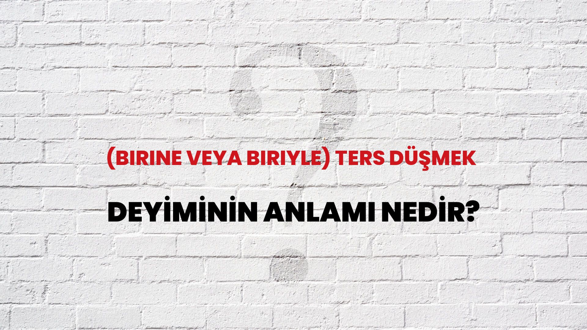 (Birine Veya Biriyle) Ters Düşmek Deyiminin Anlamı Nedir?