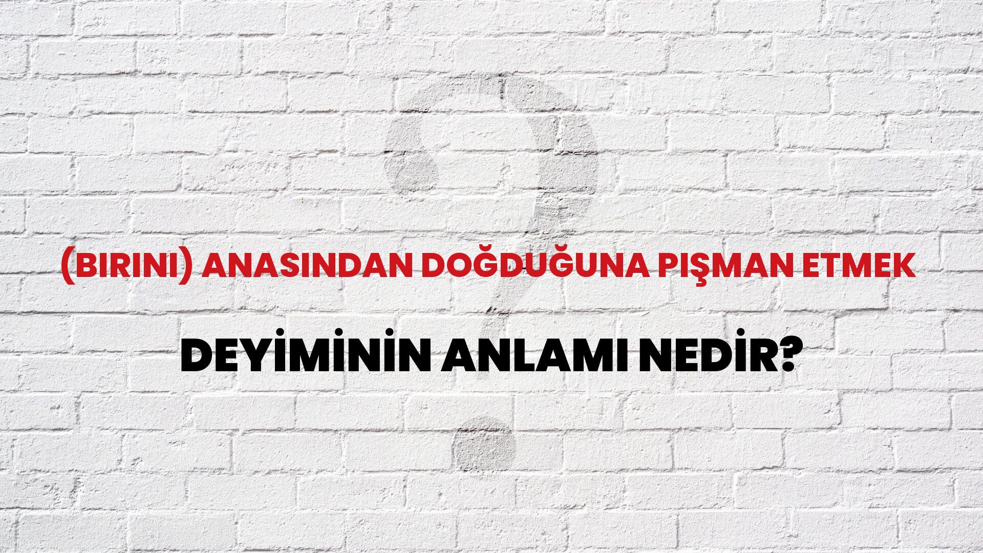 (Birini) Anasından Doğduğuna Pişman Etmek Deyiminin Anlamı Nedir?