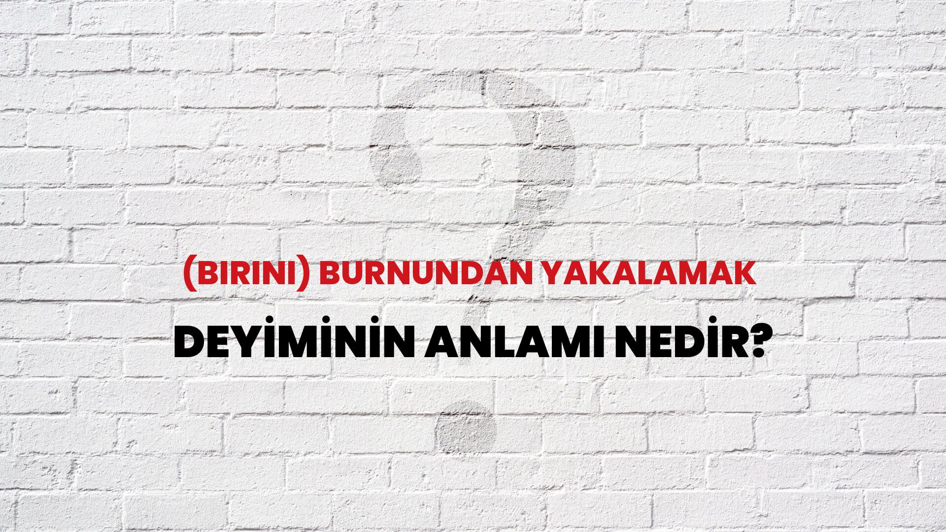 (Birini) Burnundan Yakalamak Deyiminin Anlamı Nedir?