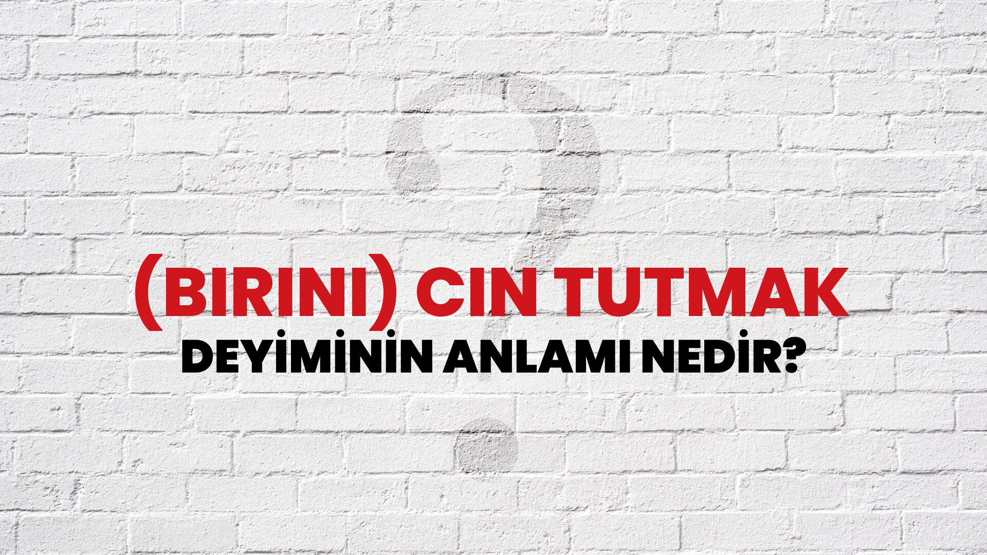 (Birini) Cin Tutmak Deyiminin Anlamı Nedir?