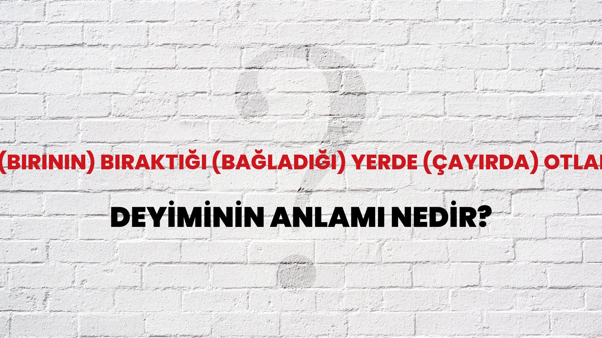 (Birinin) Bıraktığı (Bağladığı) Yerde (Çayırda) Otlamak Deyiminin Anlamı Nedir?