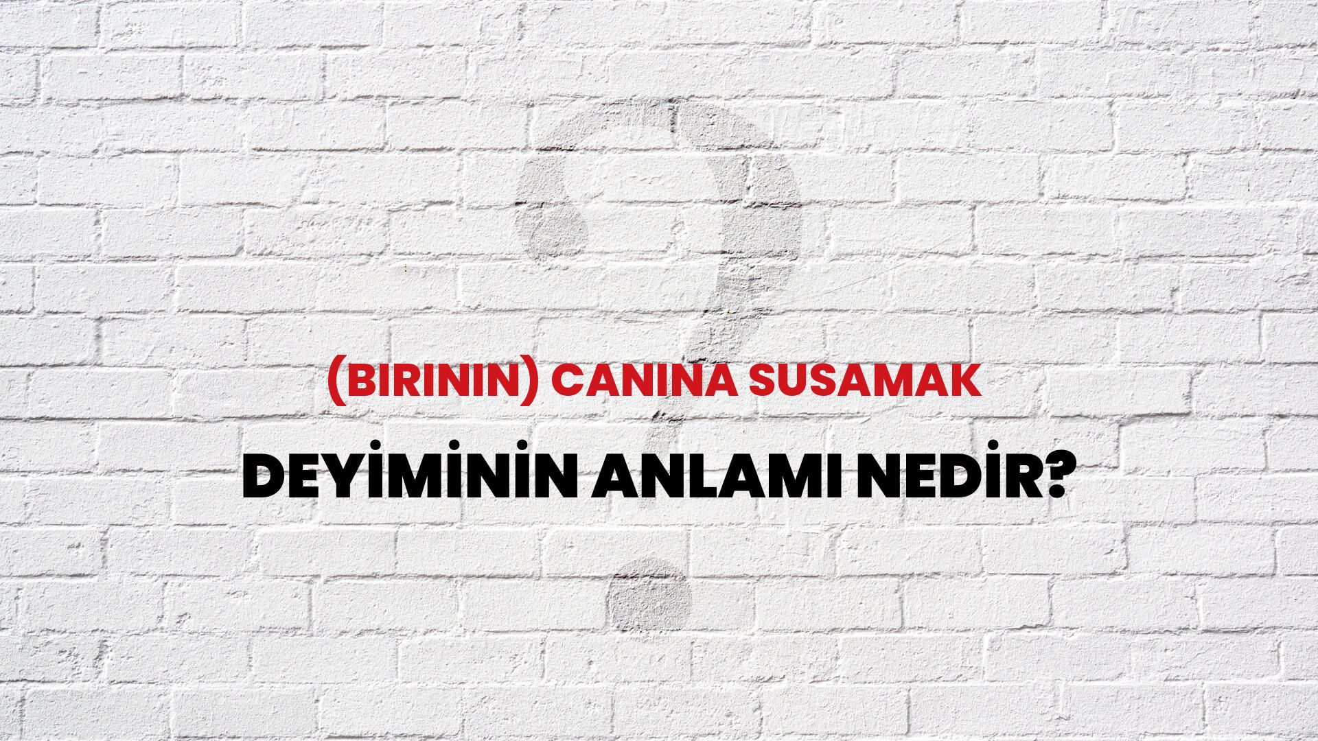 (Birinin) Canına Susamak Deyiminin Anlamı Nedir?
