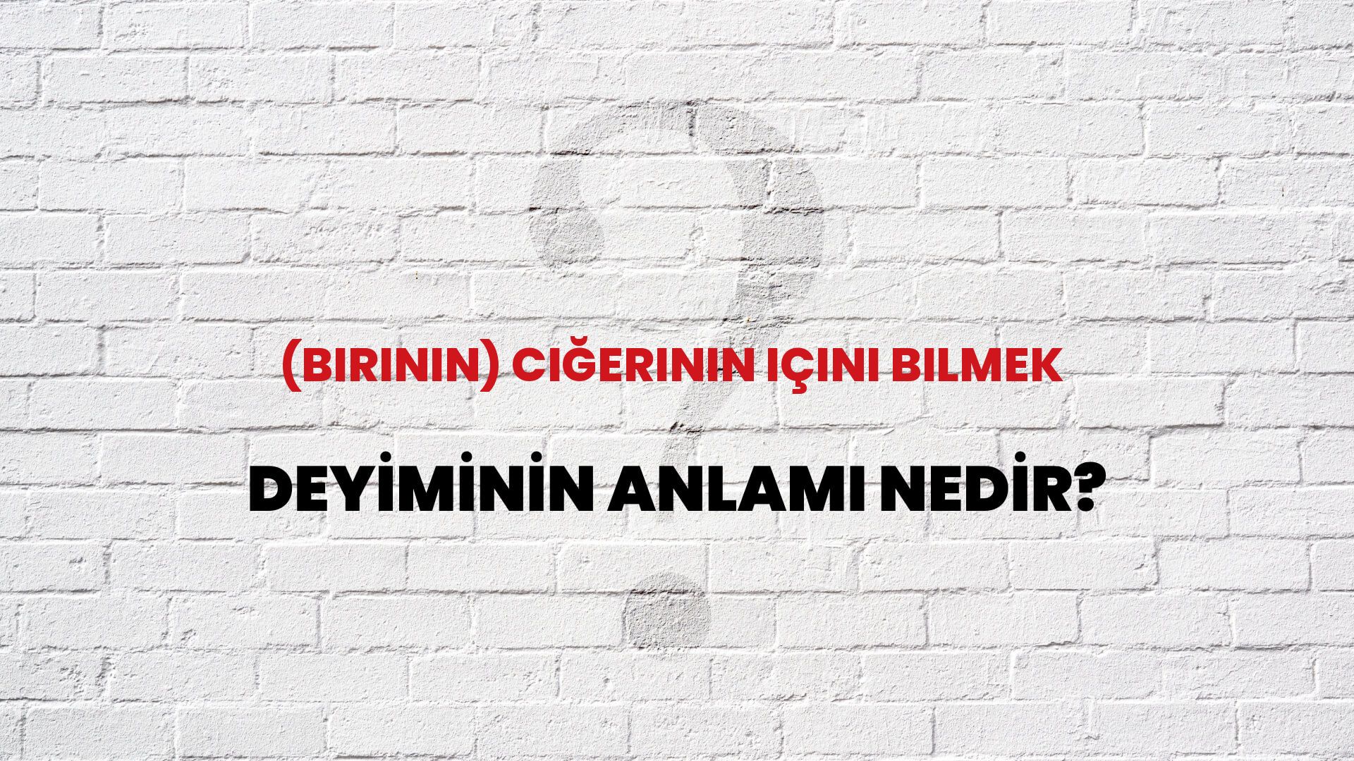 (Birinin) Ciğerinin Içini Bilmek Deyiminin Anlamı Nedir?