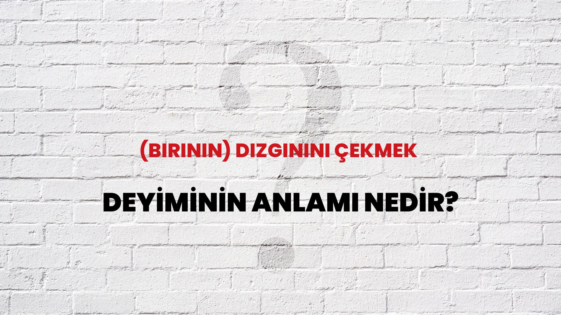 (Birinin) Dizginini Çekmek Deyiminin Anlamı Nedir?