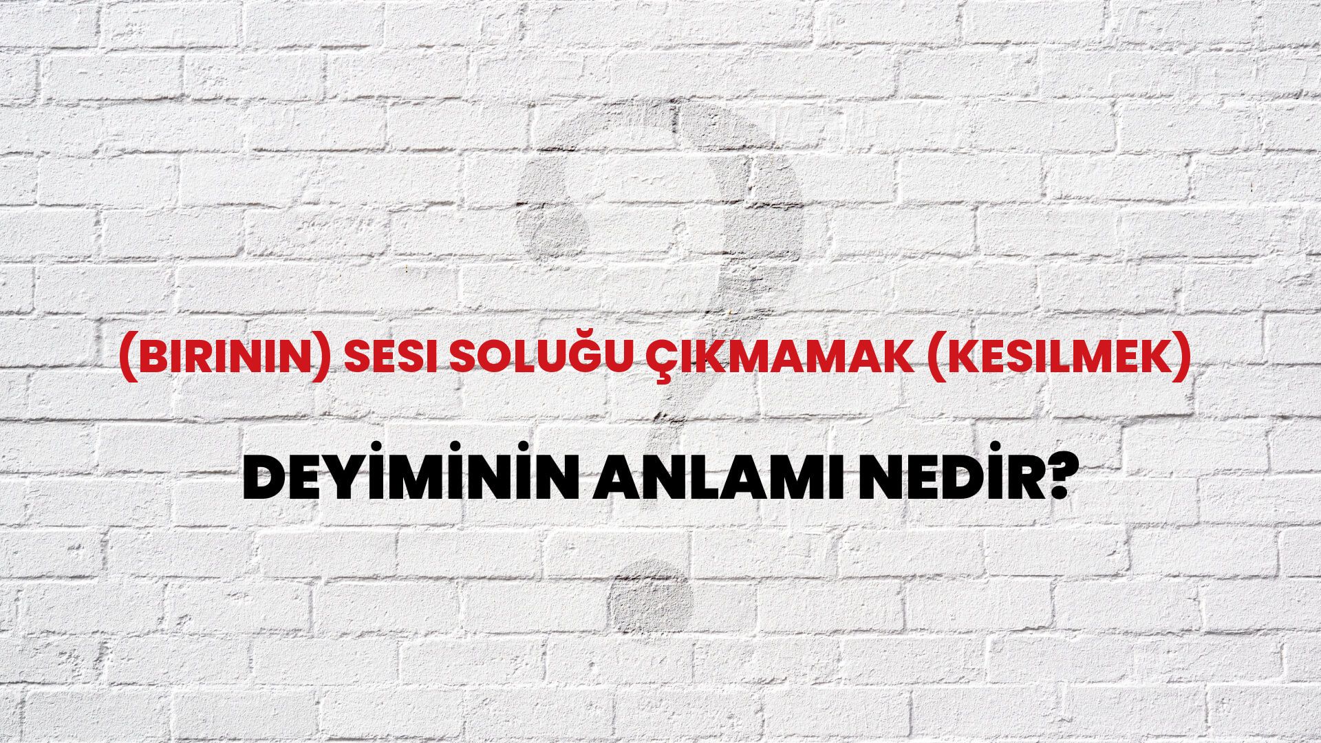 (Birinin) Sesi Soluğu Çıkmamak (Kesilmek) Deyiminin Anlamı Nedir?