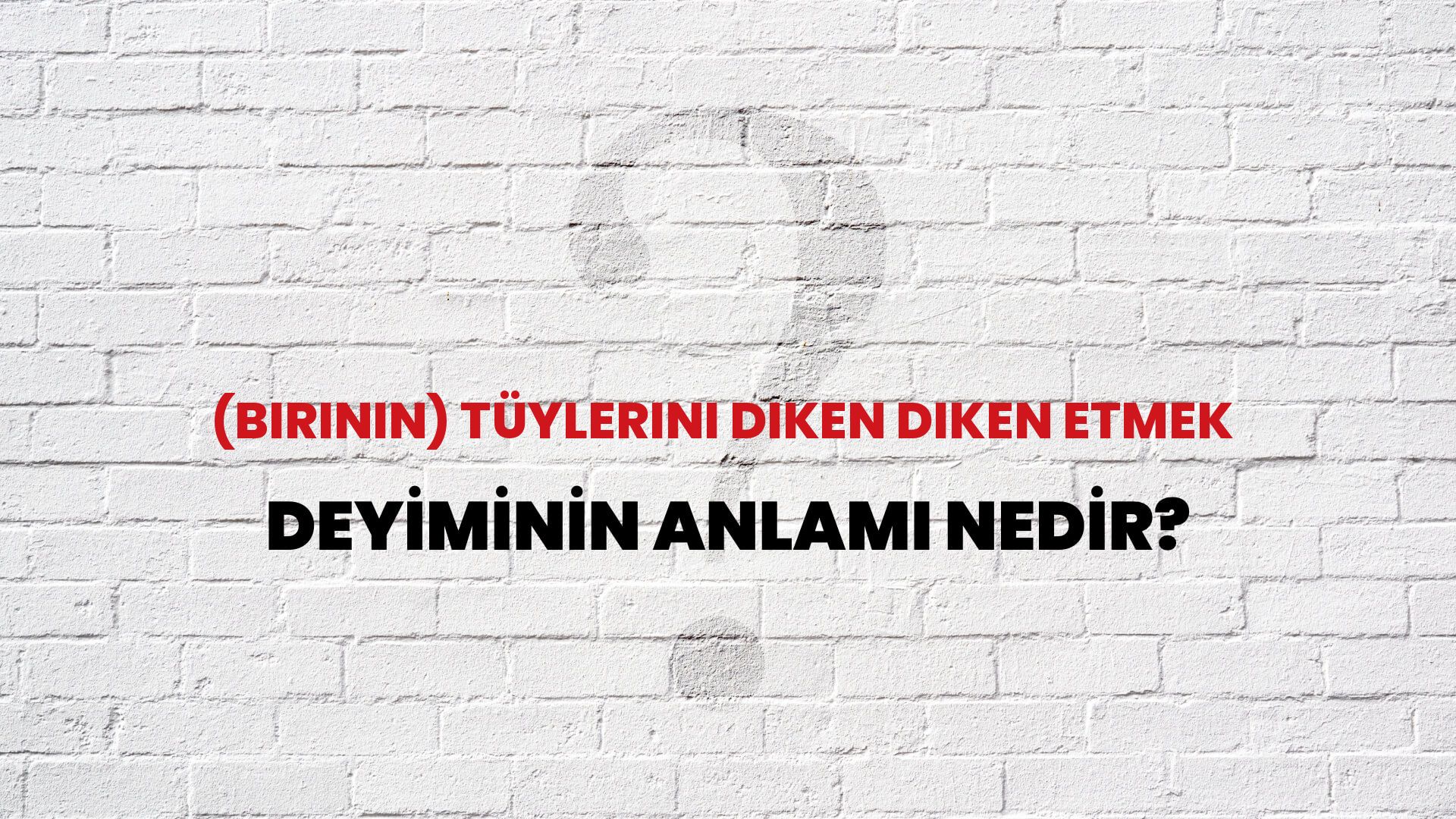 (Birinin) Tüylerini Diken Diken Etmek Deyiminin Anlamı Nedir?