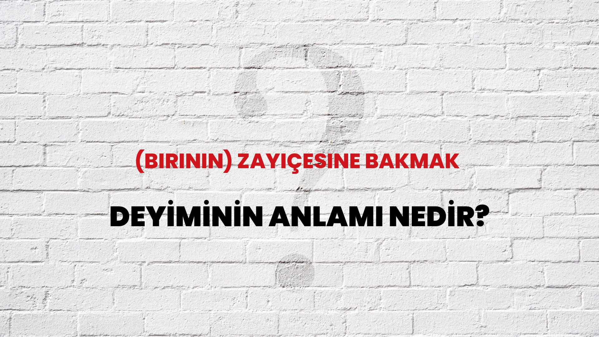 (Birinin) Zayiçesine Bakmak Deyiminin Anlamı Nedir?