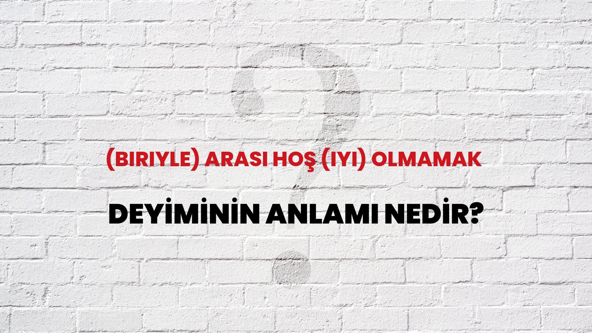 (Biriyle) Arası Hoş (Iyi) Olmamak Deyiminin Anlamı Nedir?