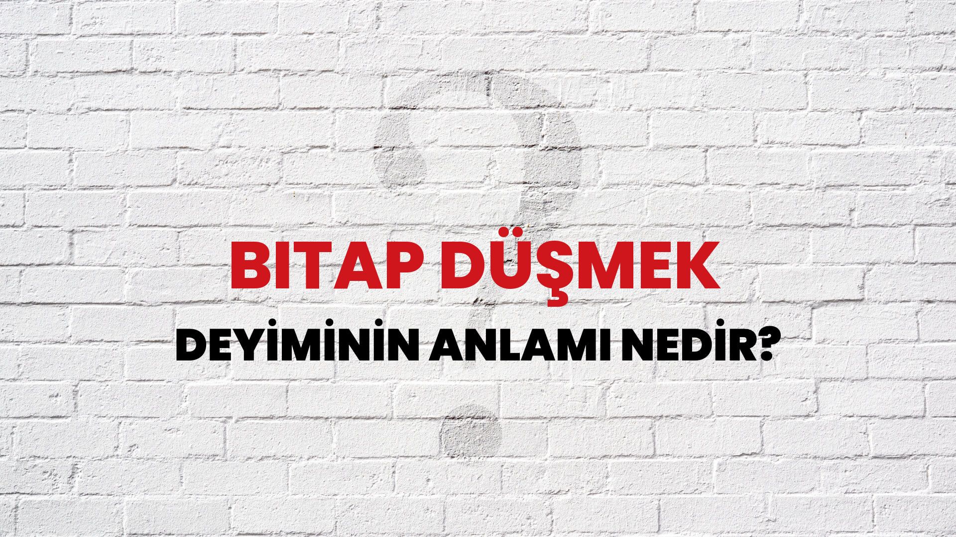Bitap Düşmek Deyiminin Anlamı Nedir?