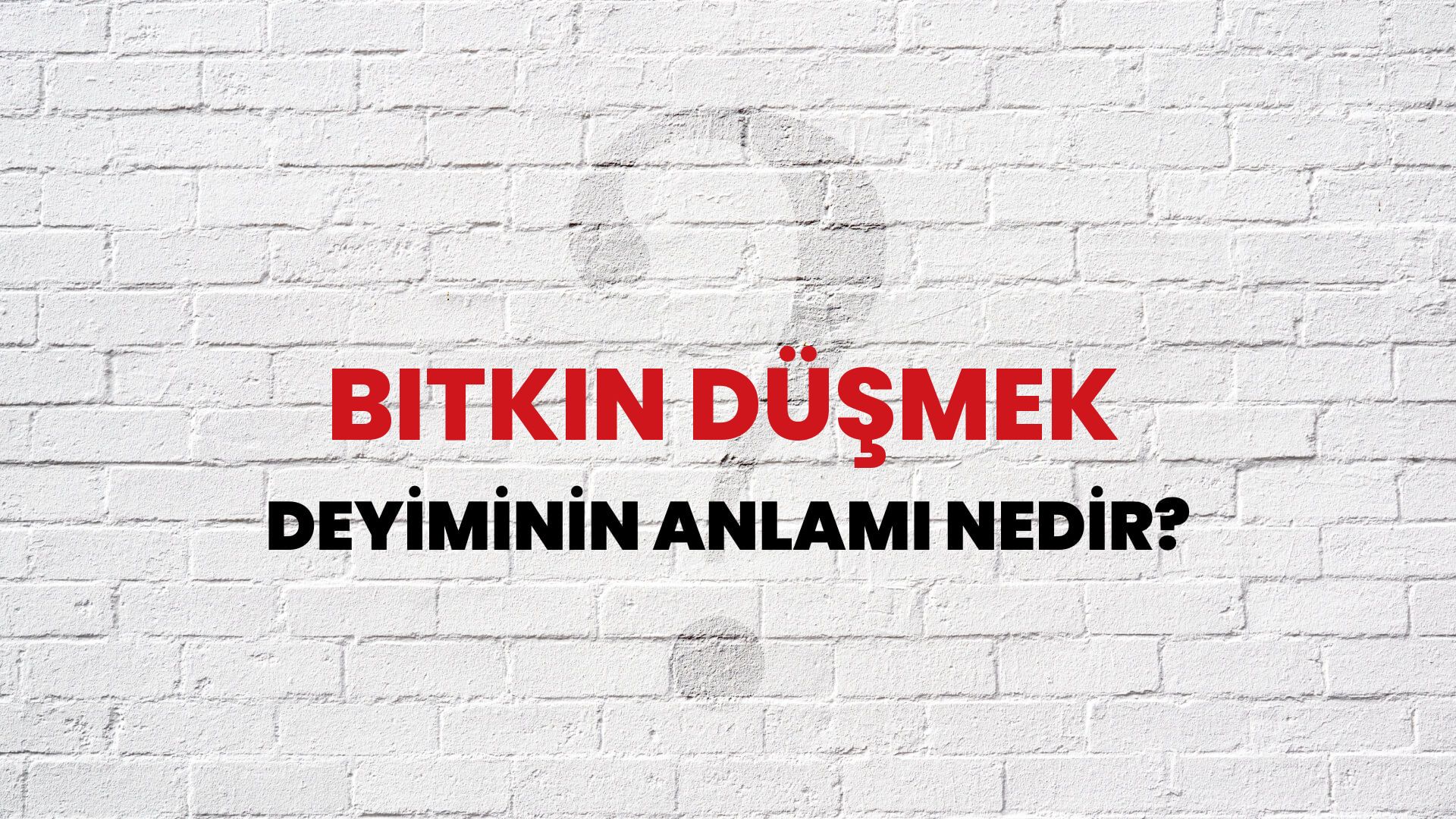Bitkin Düşmek Deyiminin Anlamı Nedir?