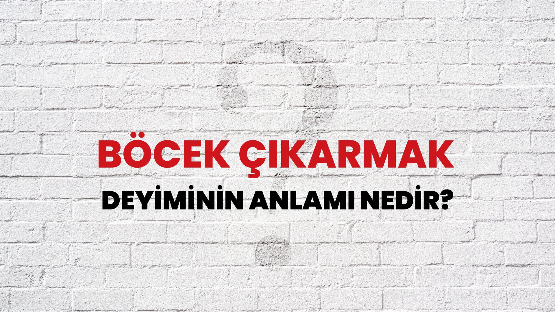 Böcek Çıkarmak Deyiminin Anlamı Nedir?