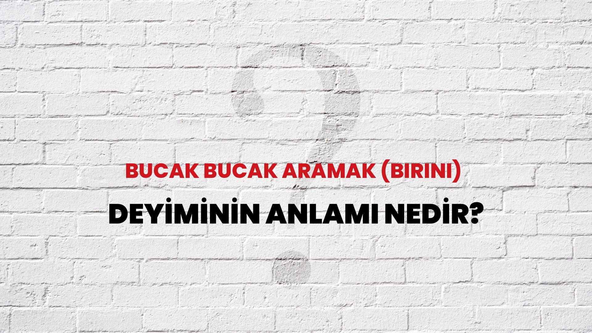 Bucak Bucak Aramak (Birini) Deyiminin Anlamı Nedir?