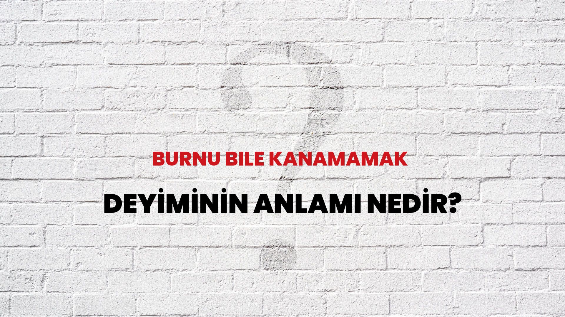 Burnu Bile Kanamamak Deyiminin Anlamı Nedir?