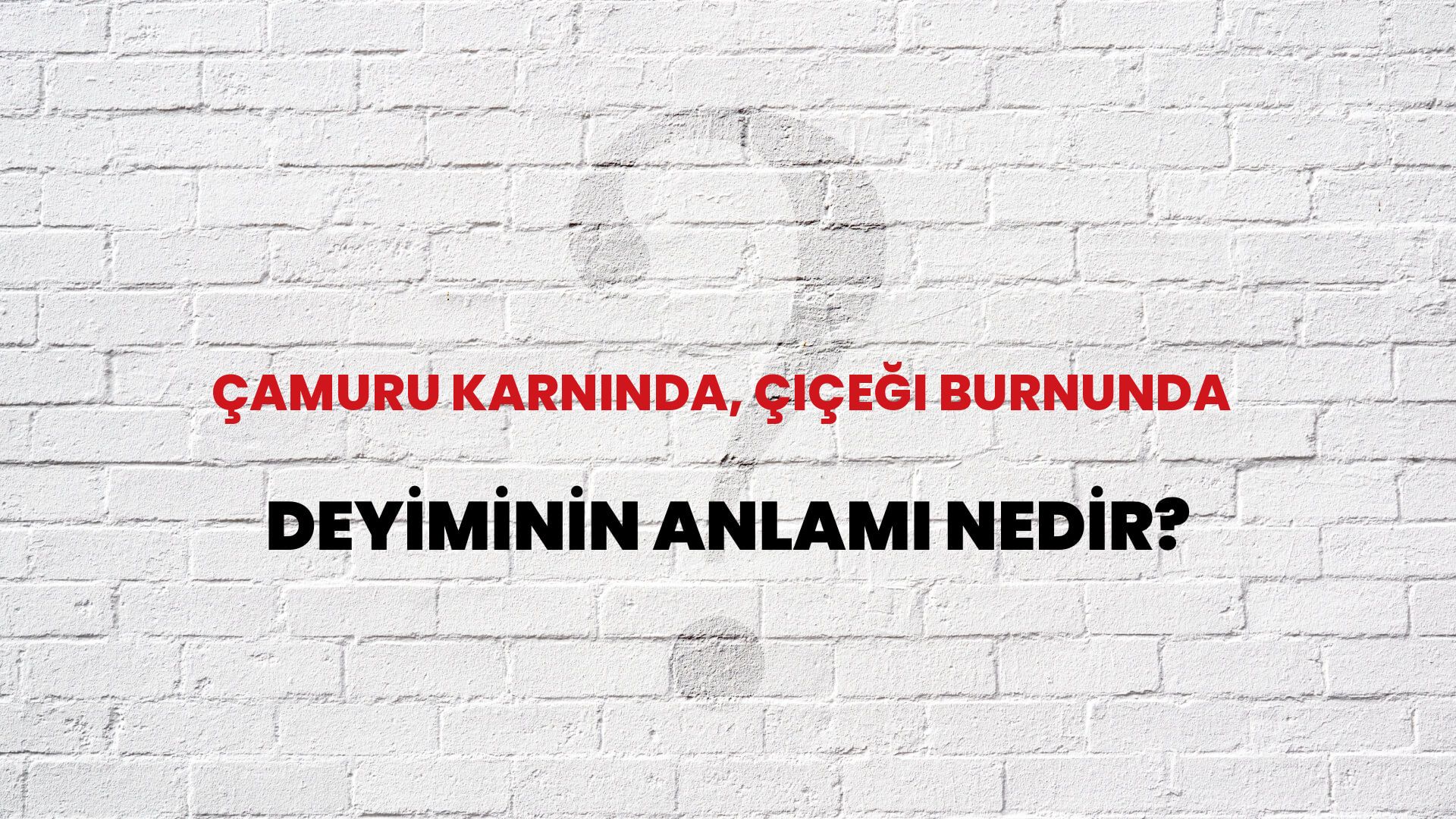 Çamuru Karnında, Çiçeği Burnunda Deyiminin Anlamı Nedir?