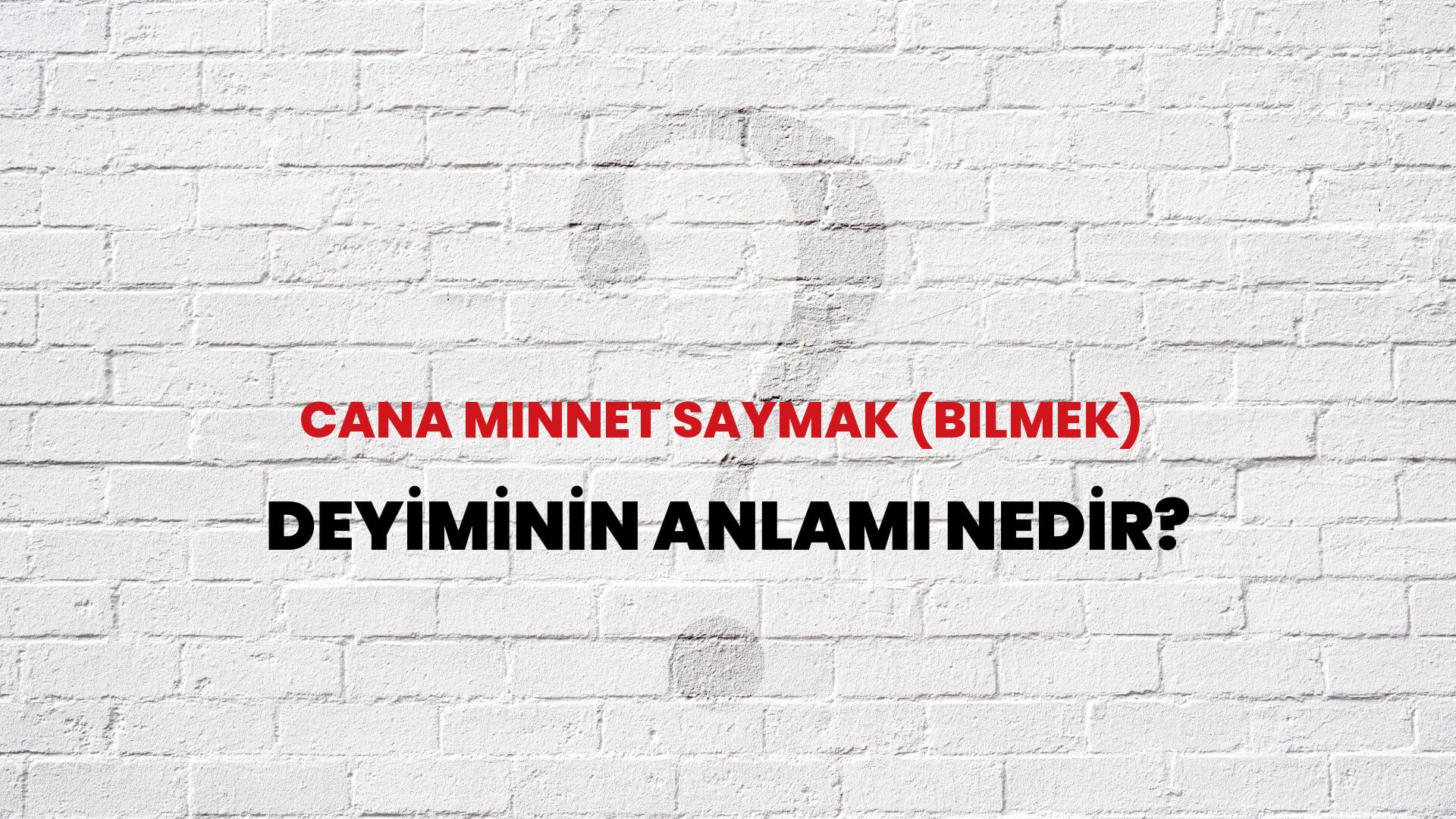 Cana Minnet Saymak (Bilmek) Deyiminin Anlamı Nedir?