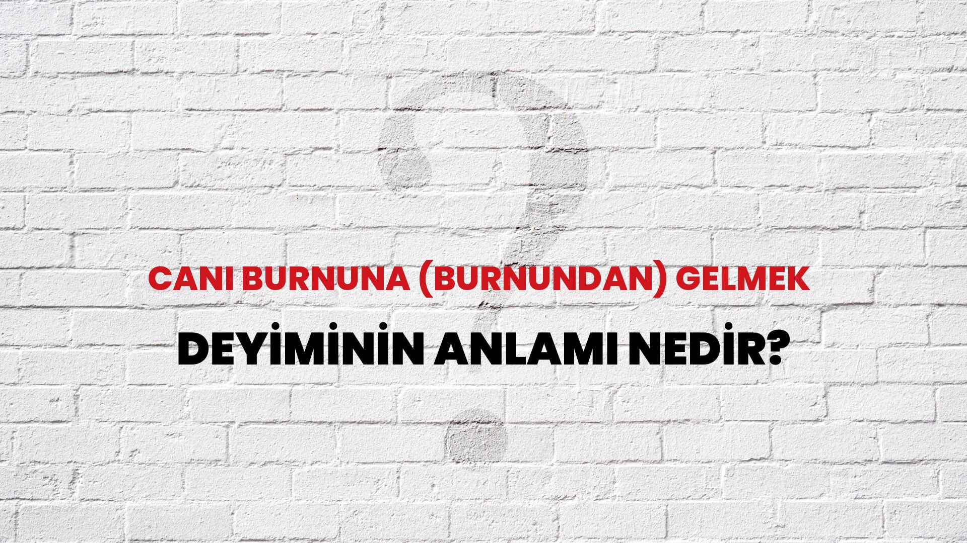Canı Burnuna (Burnundan) Gelmek Deyiminin Anlamı Nedir?