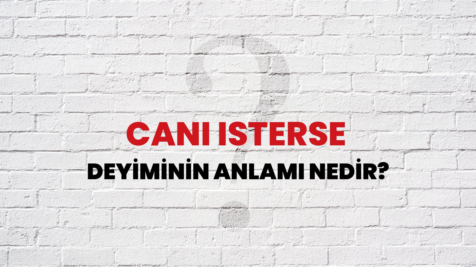 Canı Isterse Deyiminin Anlamı Nedir?
