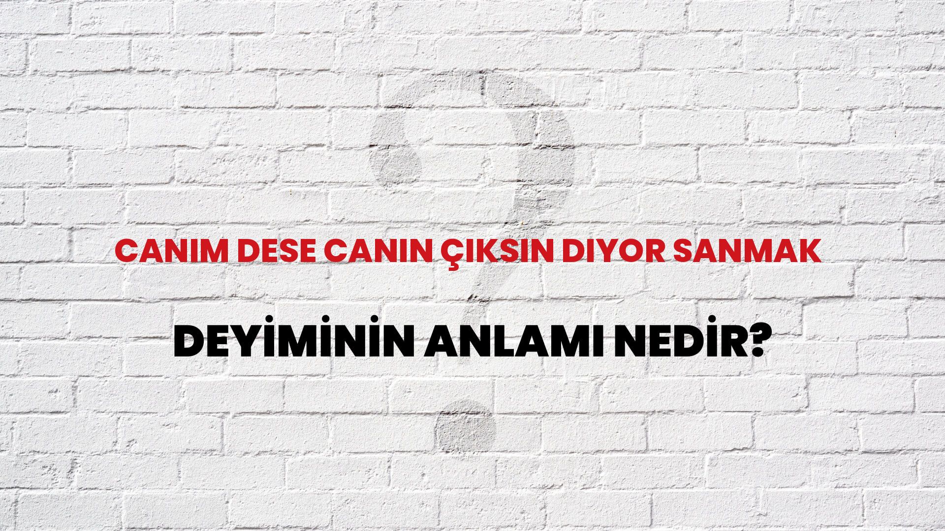 Canım Dese Canın Çıksın Diyor Sanmak Deyiminin Anlamı Nedir?