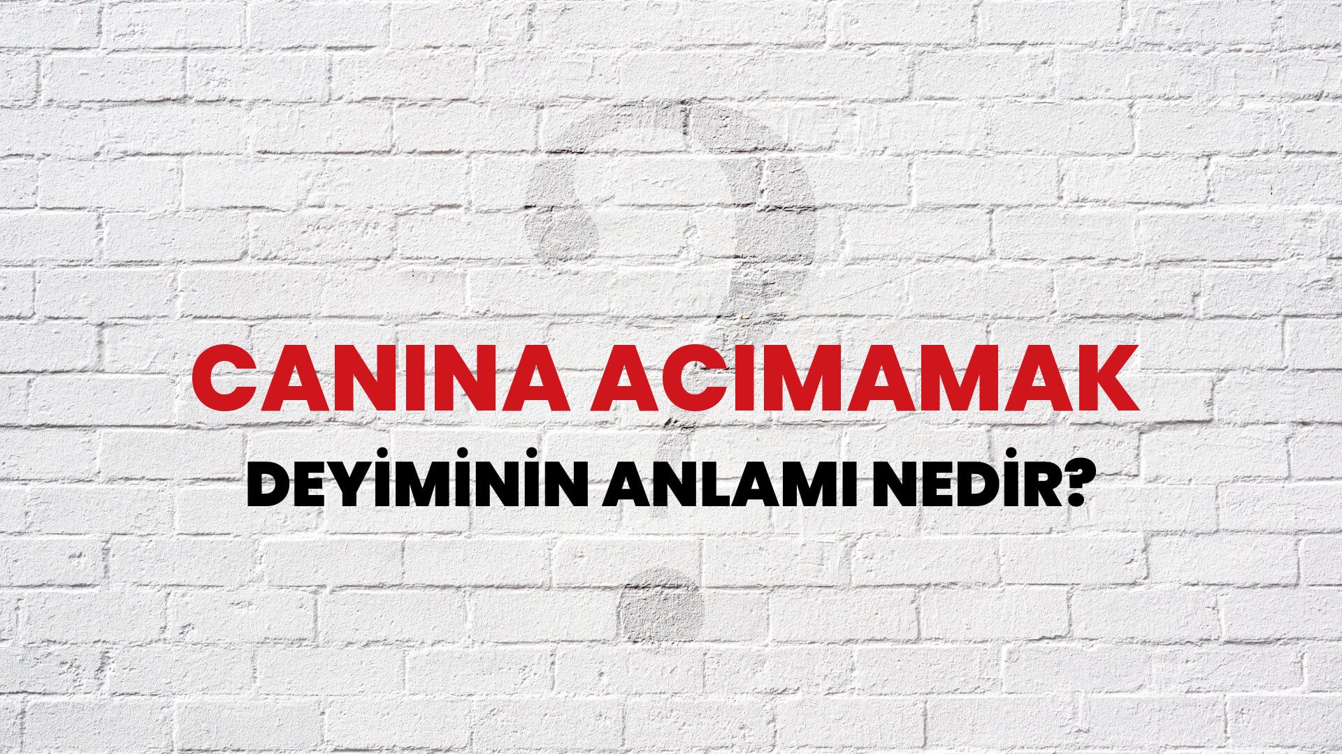 Canına Acımamak Deyiminin Anlamı Nedir?